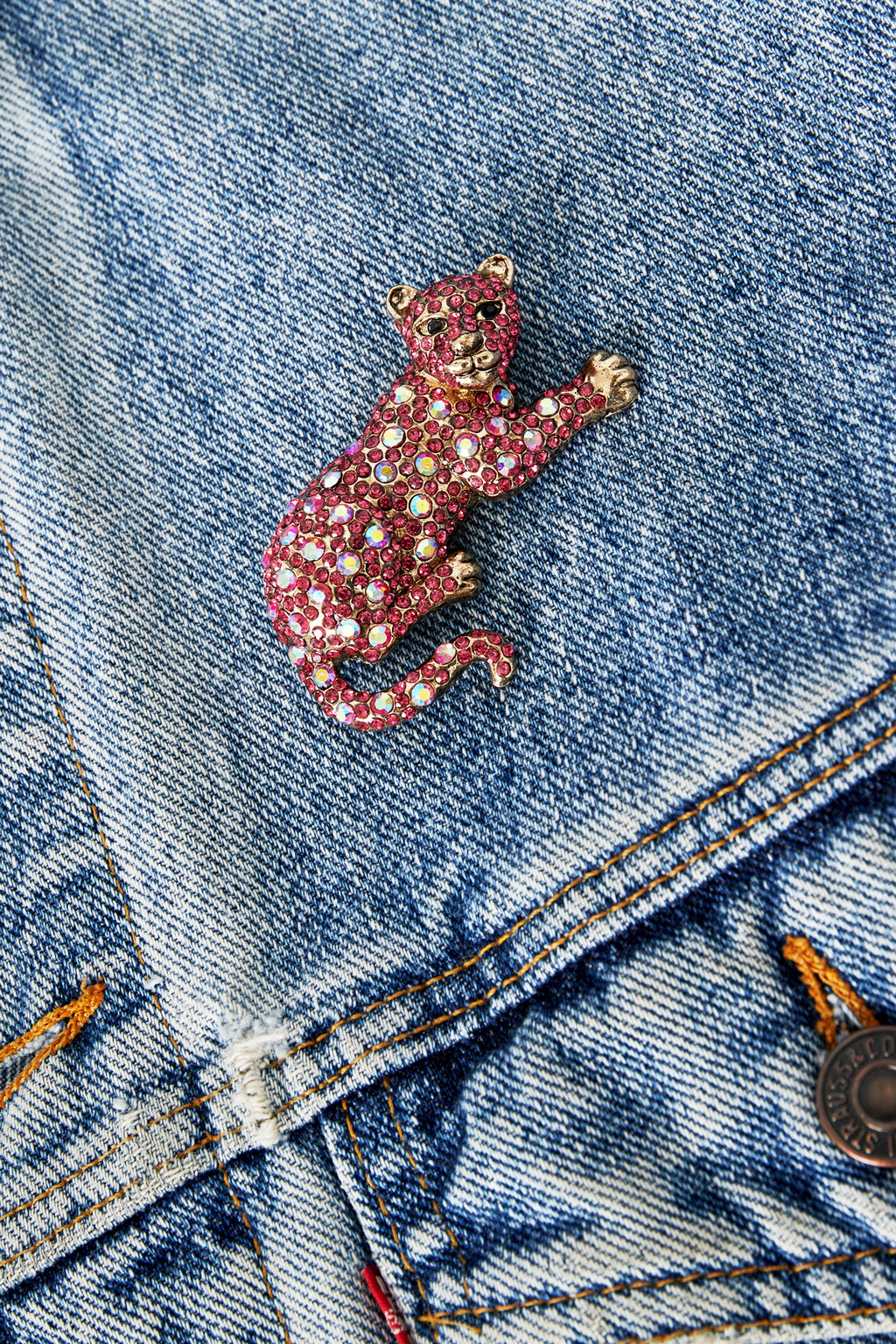 Wild Cat Brooch Eloise Closet Jewelry