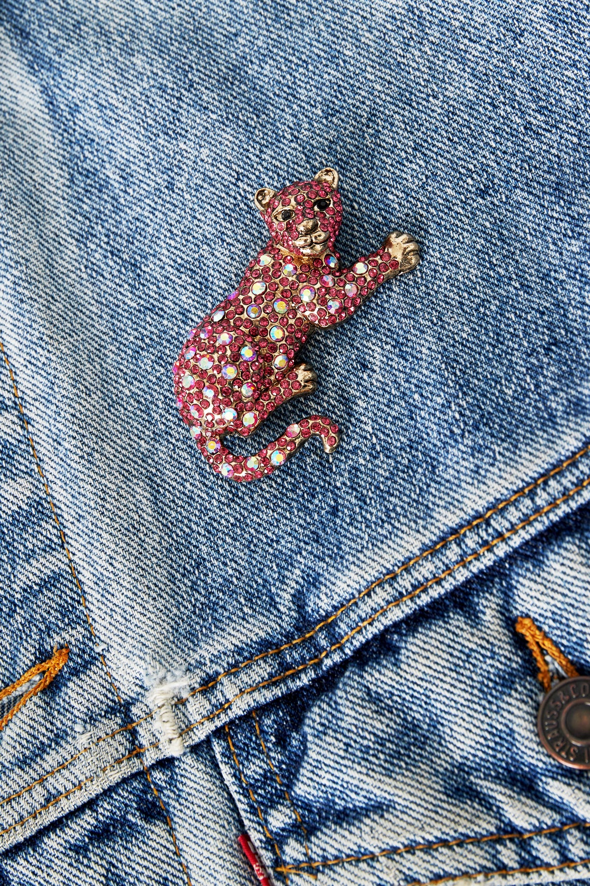 Wild Cat Brooch Eloise Closet Jewelry