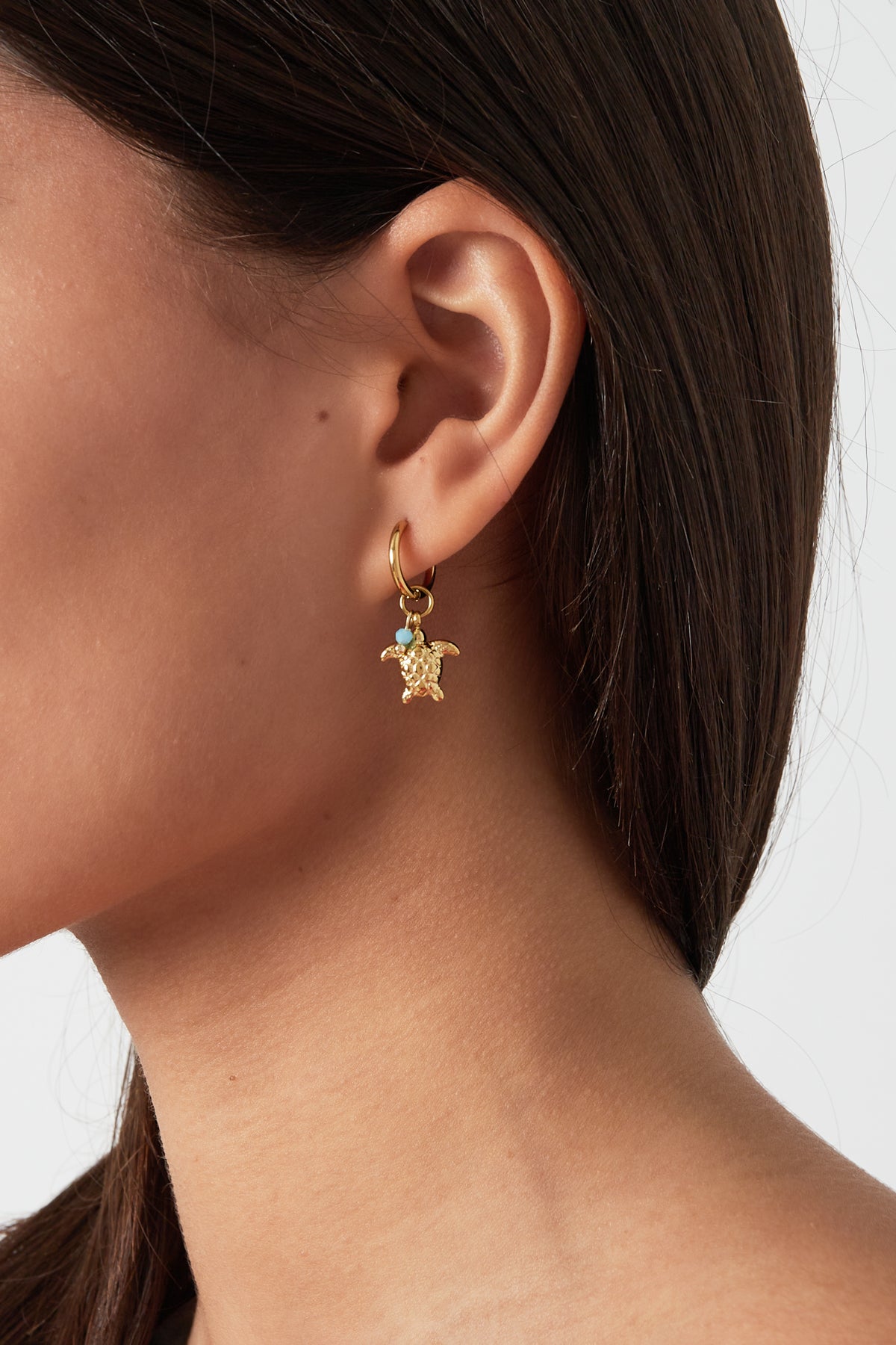 Turtle Charm Earrings Stainless Steel Eloise Closet