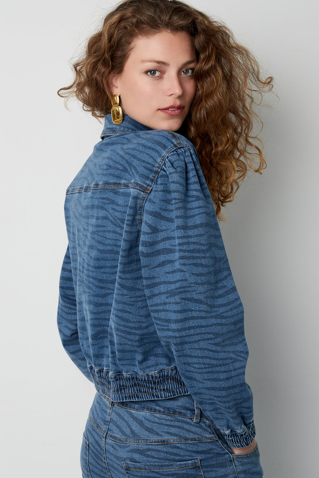 Wild Stripe Cropped Denim Jacket Eloise Closet