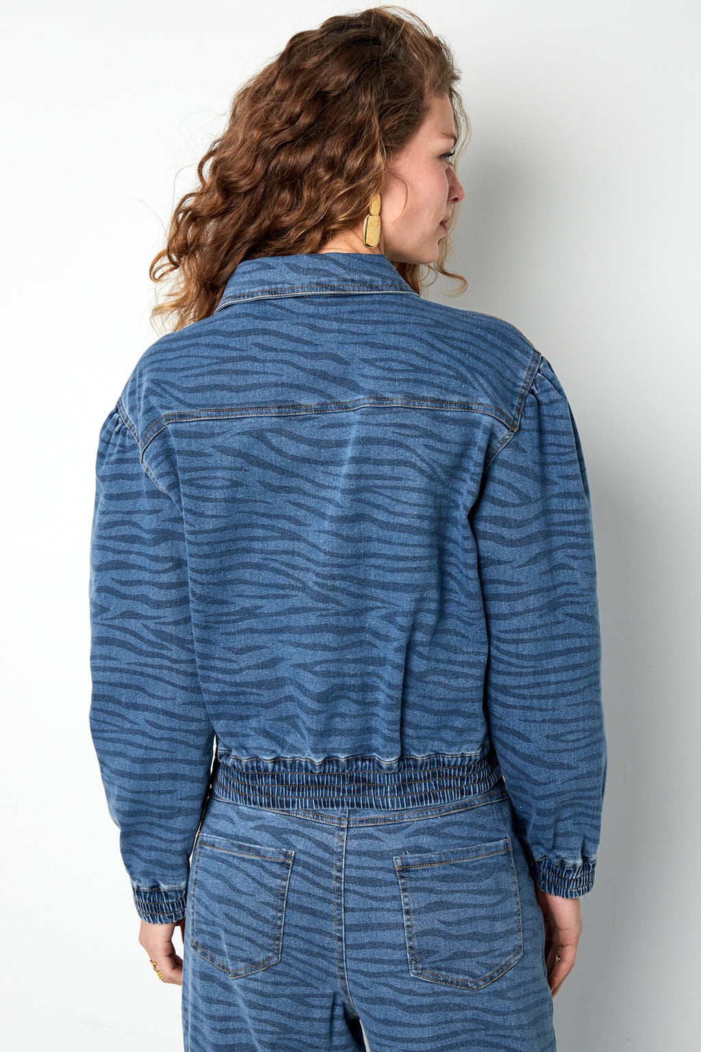 Wild Stripe Cropped Denim Jacket Eloise Closet