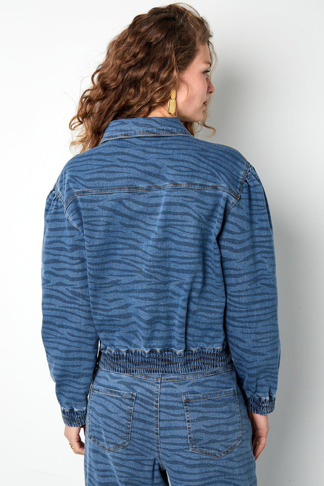 Wild Stripe Cropped Denim Jacket Eloise Closet