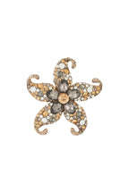 Starry Brooch Eloise Closet Jewelry