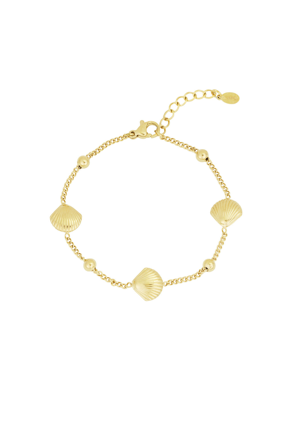 Coastal Shell Bracelet