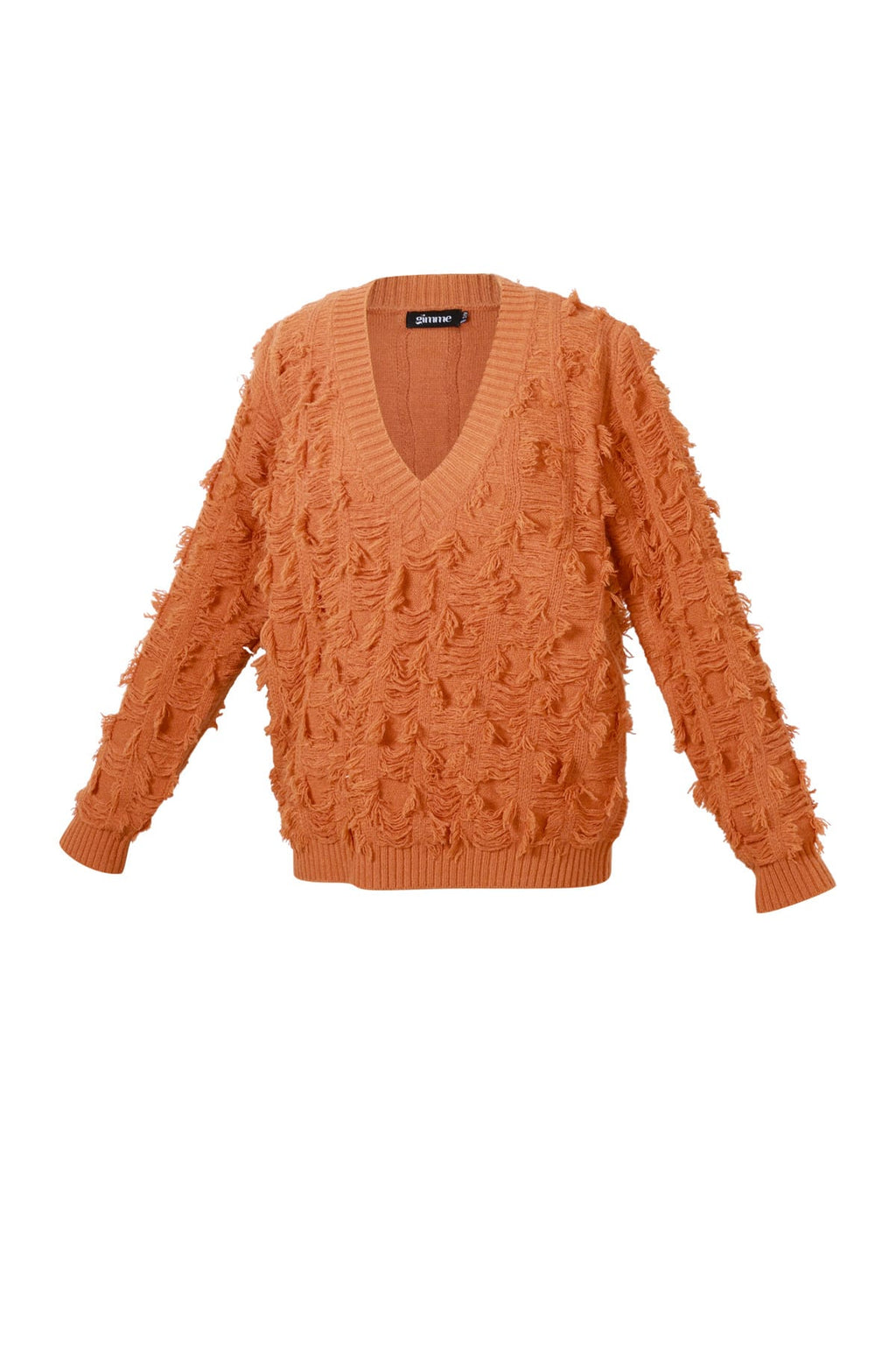 Fringe Touch V-Neck Sweater Eloise Closet