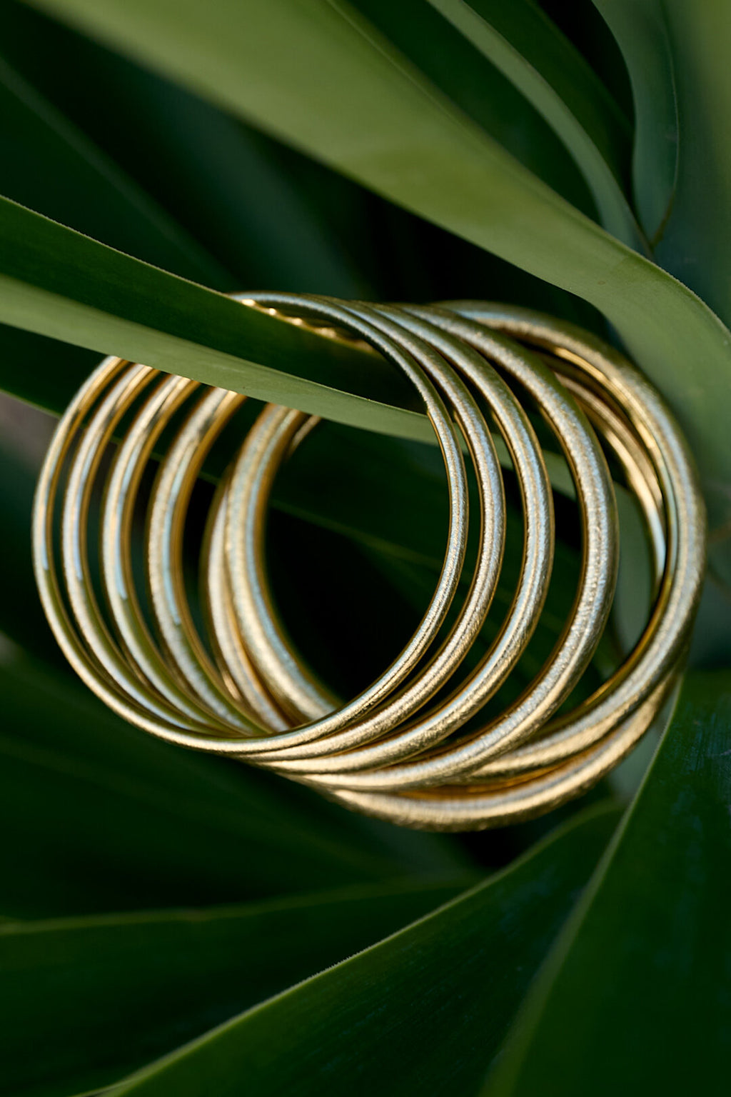 Brushed Bangle Bracelet 6 mm Eloise Closet Jewelry