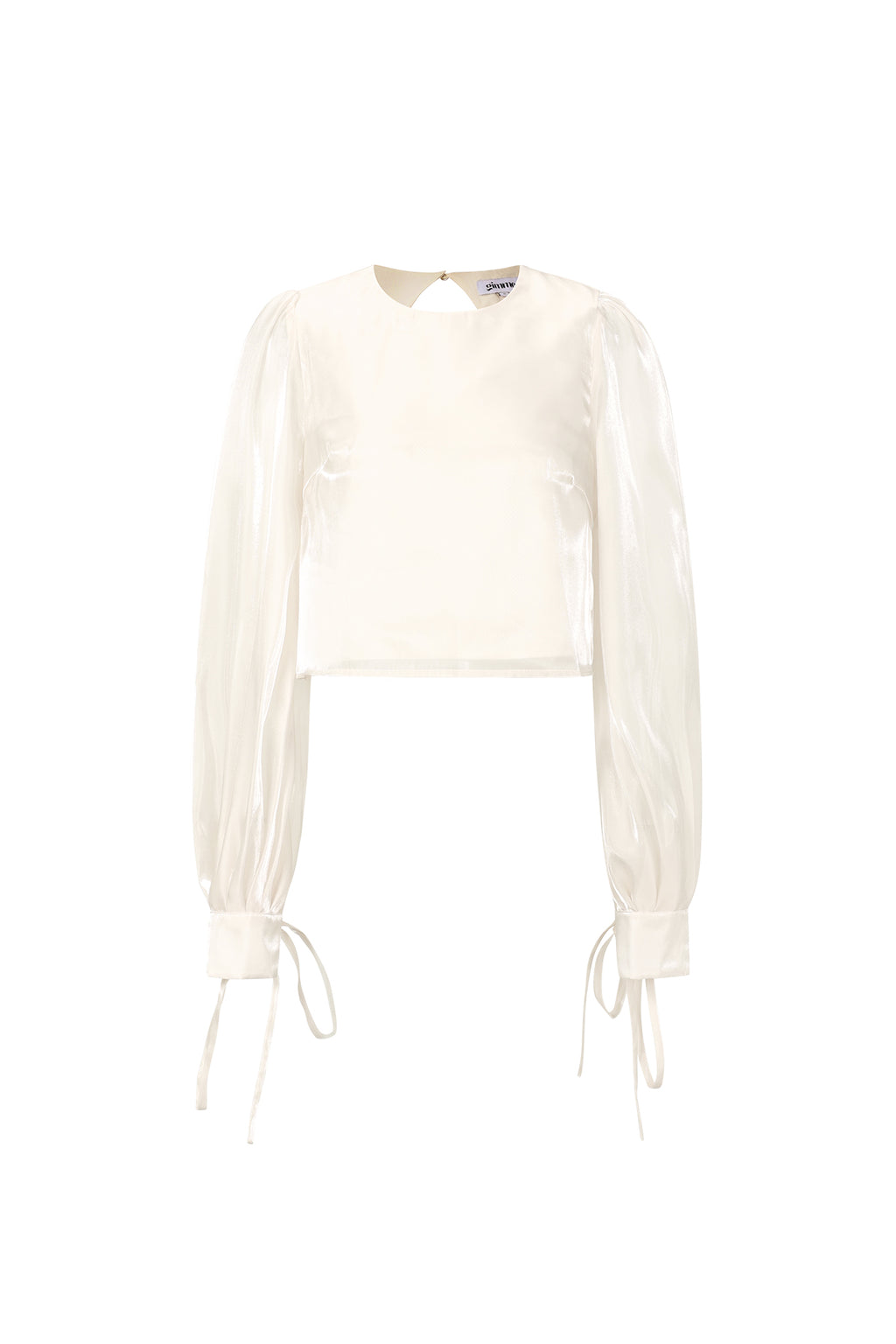 Shimmer Pearl Blouse Eloise Closet