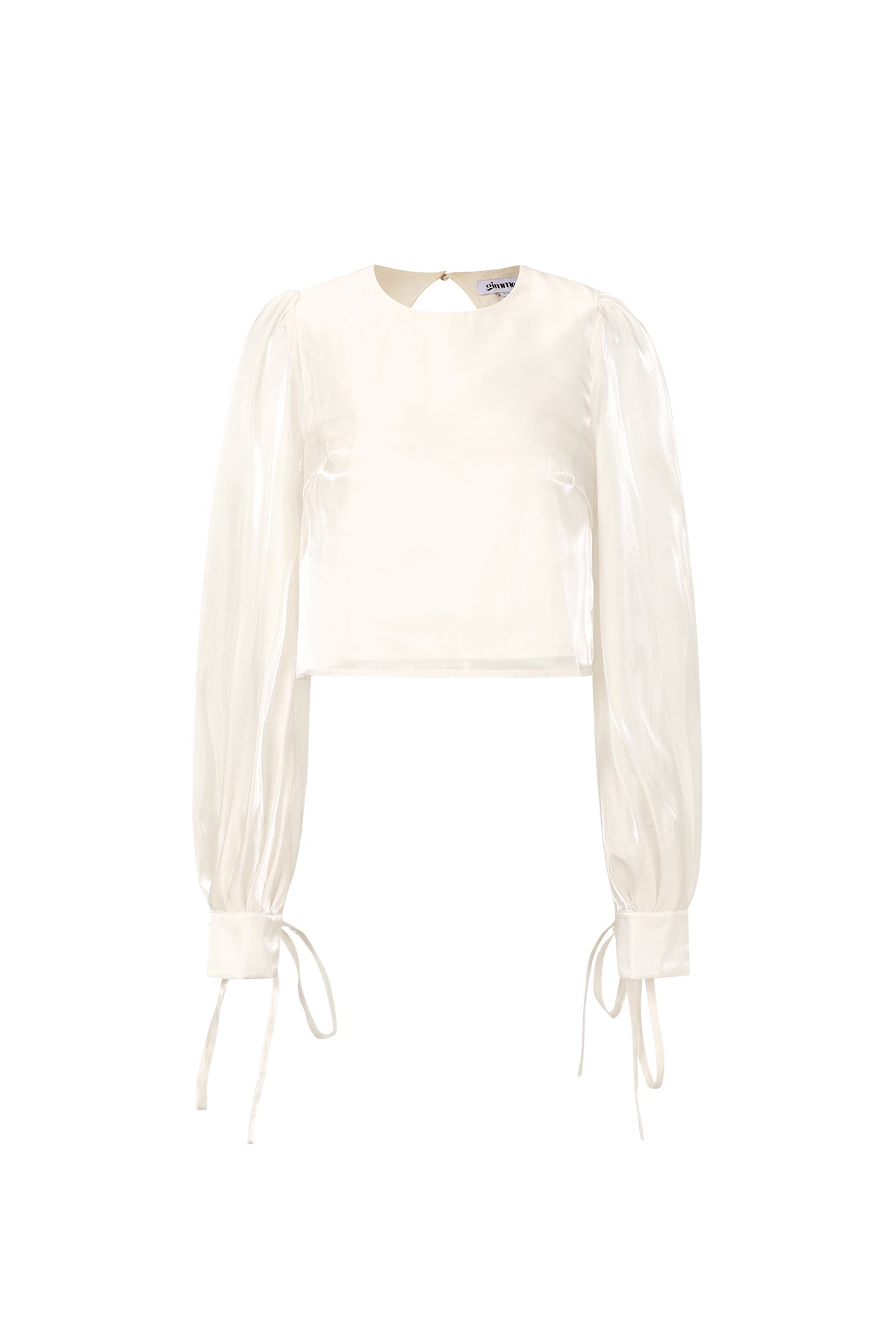 Shimmer Pearl Blouse Eloise Closet