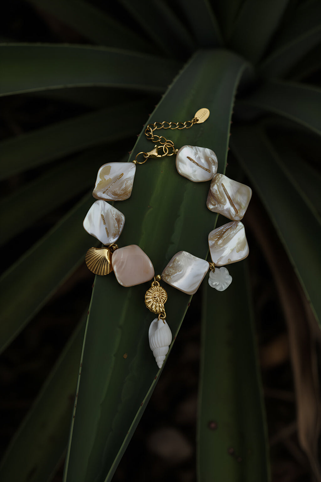 Seashell Charm Bracelet Beige Eloise Closet Jewelry