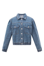 Wild Stripe Cropped Denim Jacket Eloise Closet