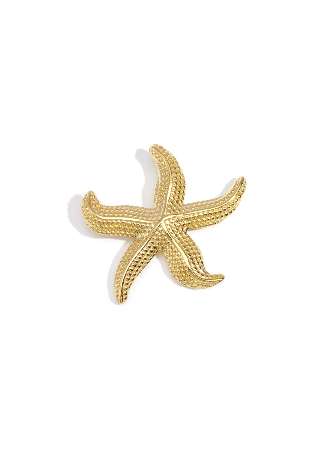 Starfish-shaped brooch hairpin with structure