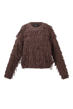 Sheer Mesh Longsleeve Top
