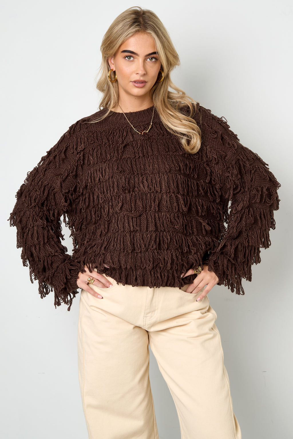Sheer Mesh Longsleeve Top