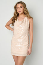 Liquid Shine Sequin Dress Eloise Closet