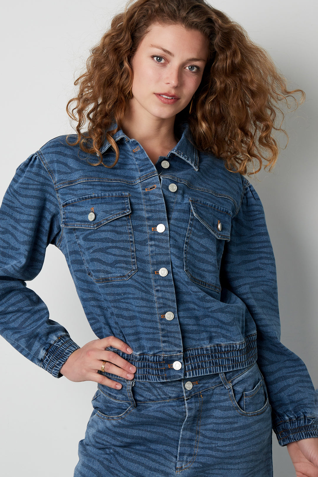 Wild Stripe Cropped Denim Jacket Eloise Closet