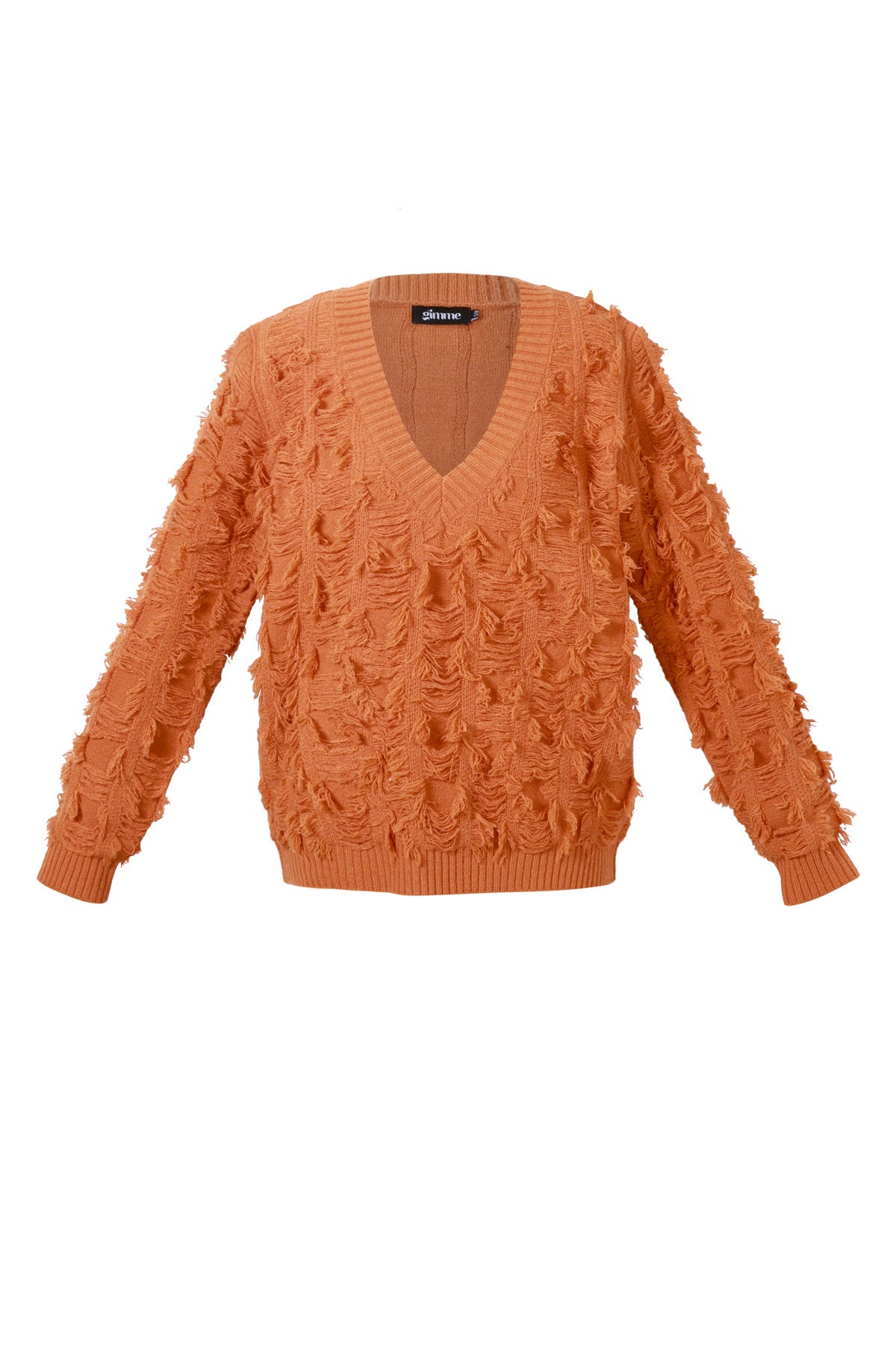 Fringe Touch V-Neck Sweater Eloise Closet