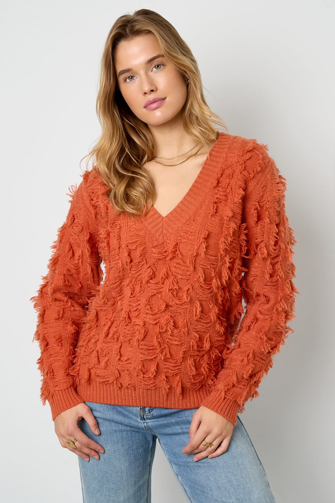 Fringe Touch V-Neck Sweater Eloise Closet